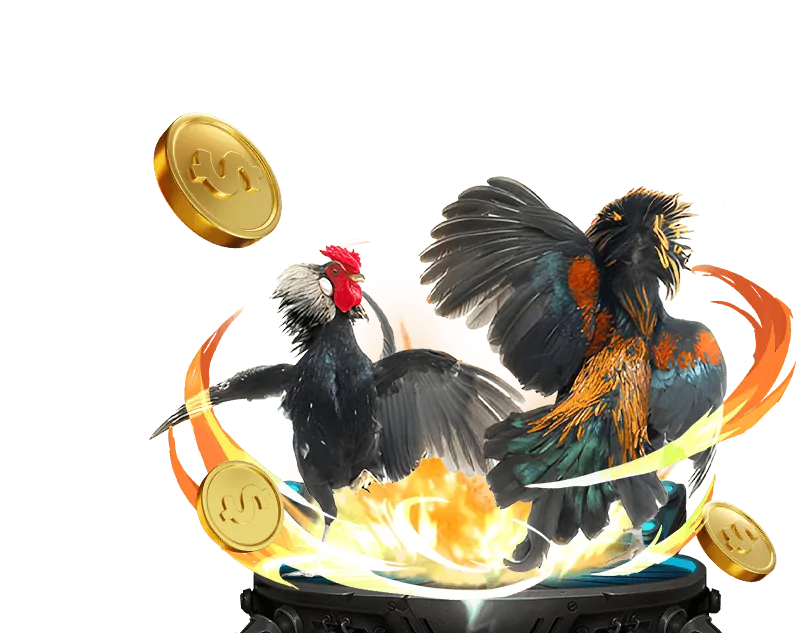 Cá cược thể thao 68WIN10